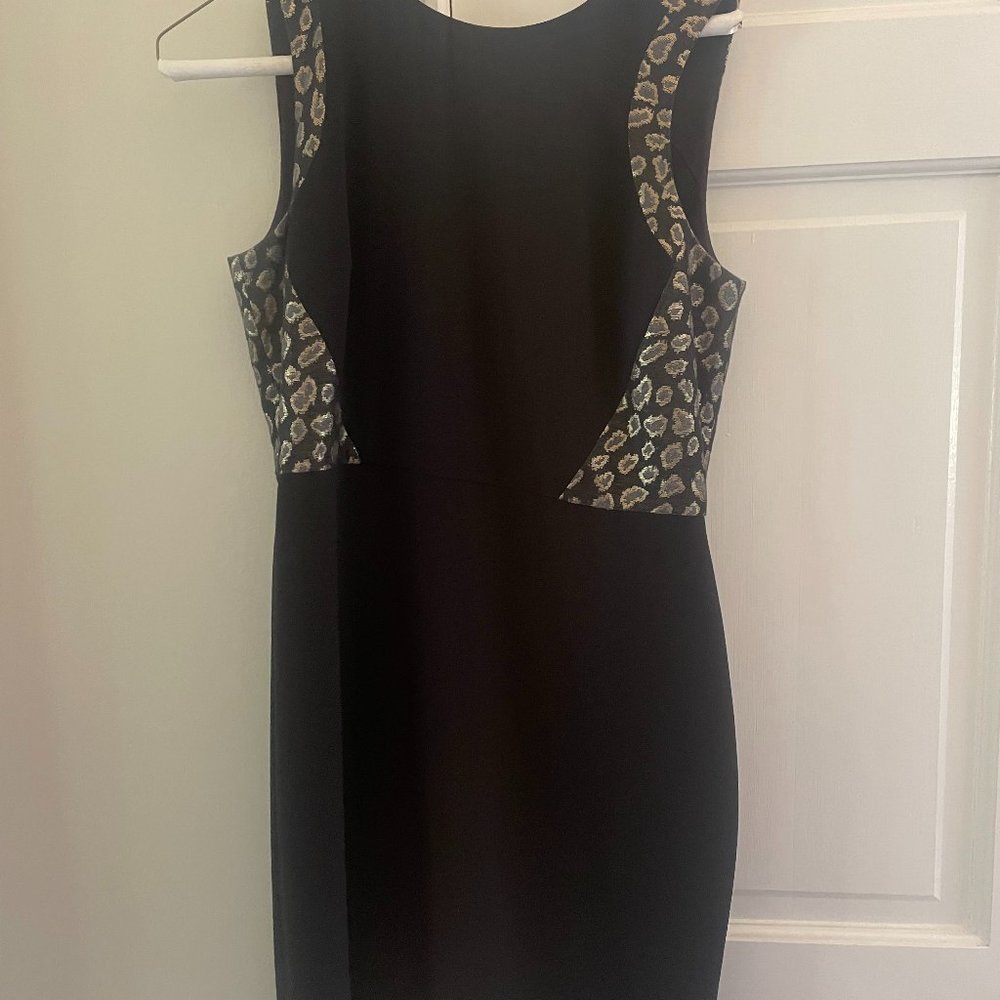 Ann Taylor Dress